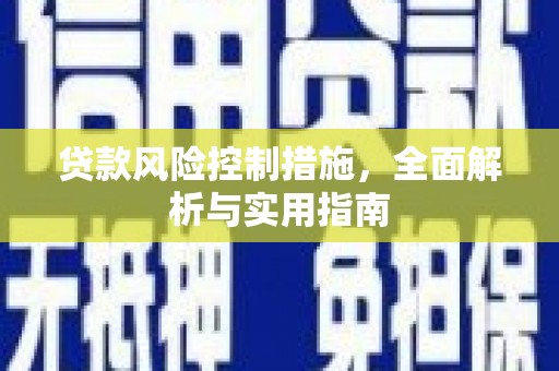 玛纳斯贷款风险控制措施，全面解析与实用指南