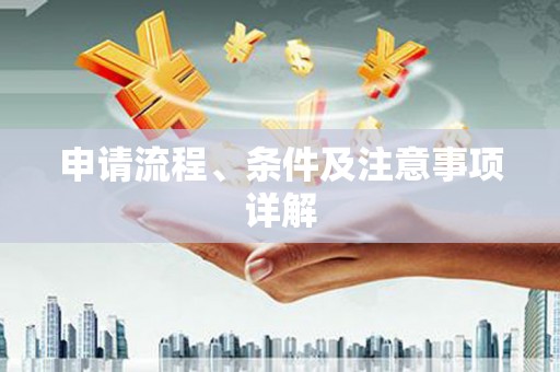 玛纳斯申请流程、条件及注意事项详解