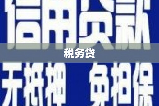 玛纳斯税务贷
