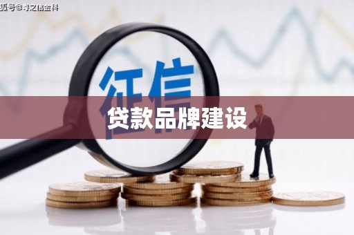 玛纳斯贷款品牌建设