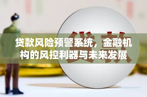玛纳斯贷款风险预警系统，金融机构的风控利器与未来发展