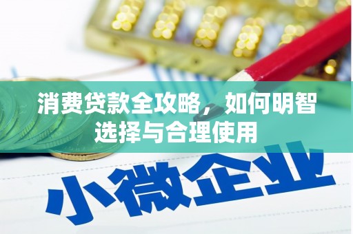 玛纳斯消费贷款全攻略，如何明智选择与合理使用