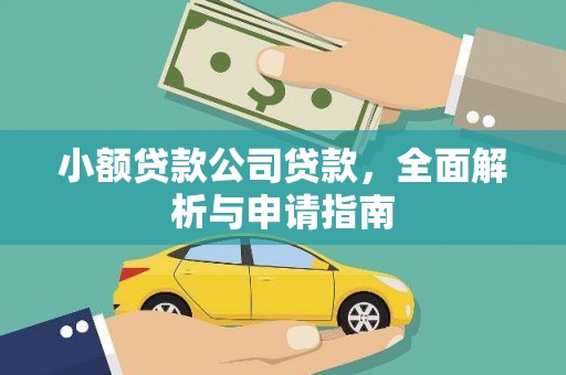 玛纳斯小额贷款公司贷款，全面解析与申请指南