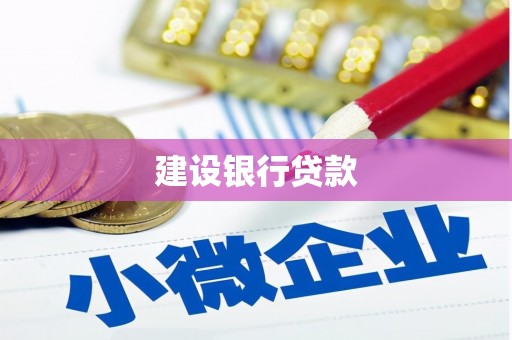 玛纳斯建设银行贷款