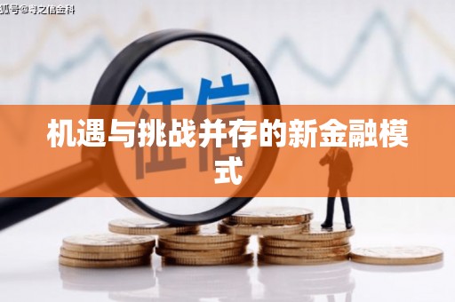 玛纳斯机遇与挑战并存的新金融模式