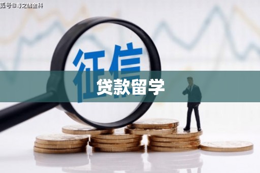 玛纳斯贷款留学