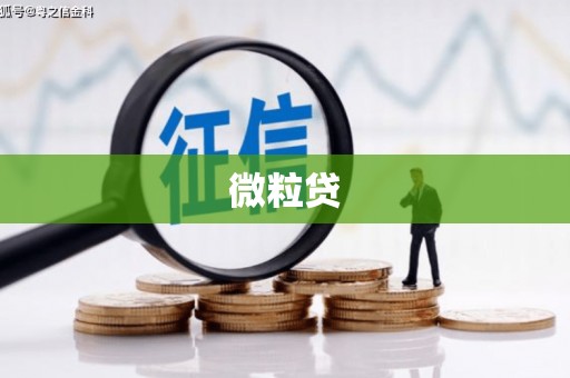 玛纳斯微粒贷