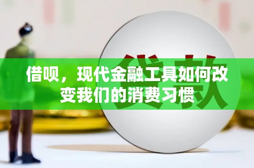 玛纳斯借呗，现代金融工具如何改变我们的消费习惯