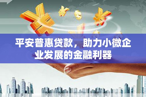 玛纳斯平安普惠贷款，助力小微企业发展的金融利器
