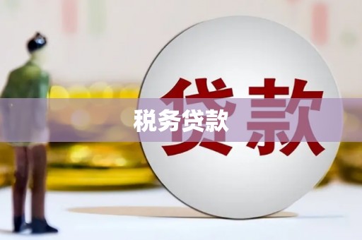 玛纳斯税务贷款