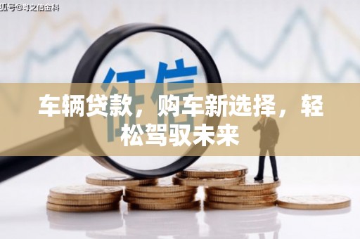 玛纳斯车辆贷款，购车新选择，轻松驾驭未来