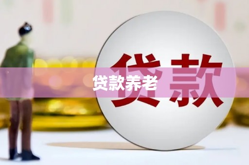 玛纳斯贷款养老