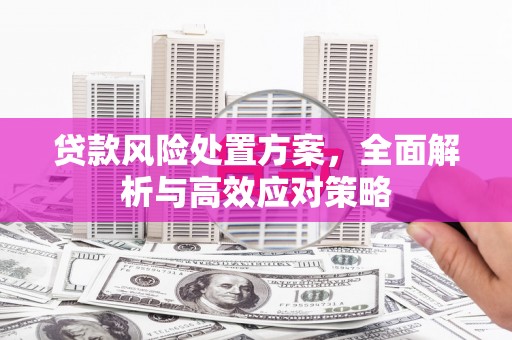 玛纳斯贷款风险处置方案，全面解析与高效应对策略