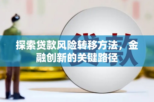 玛纳斯探索贷款风险转移方法，金融创新的关键路径