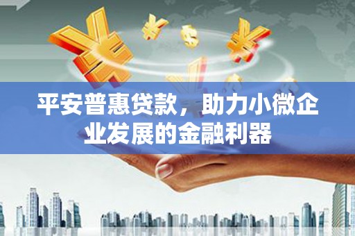 玛纳斯平安普惠贷款，助力小微企业发展的金融利器