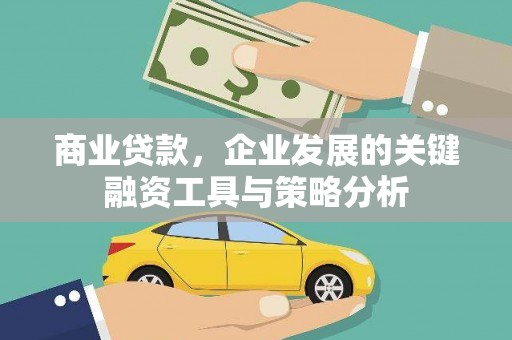 玛纳斯商业贷款，企业发展的关键融资工具与策略分析