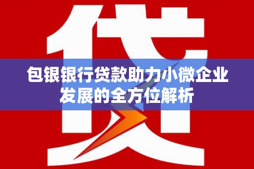 玛纳斯包银银行贷款助力小微企业发展的全方位解析