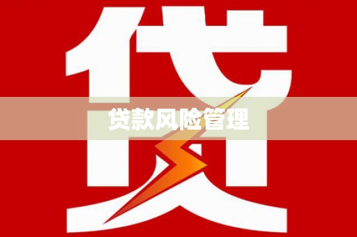 玛纳斯贷款风险管理