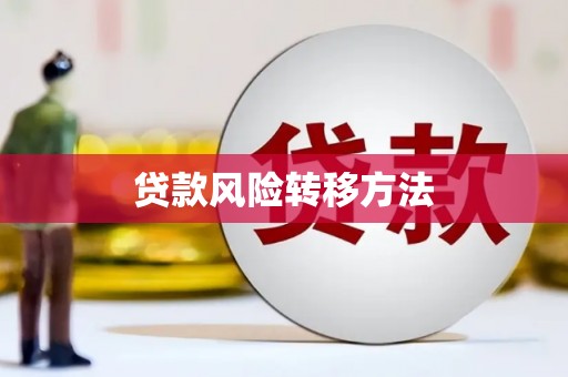 玛纳斯贷款风险转移方法