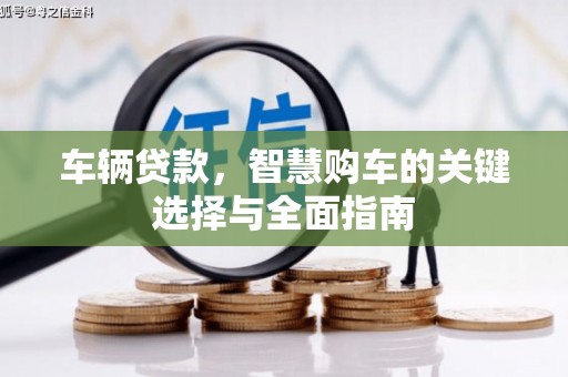 玛纳斯车辆贷款，智慧购车的关键选择与全面指南