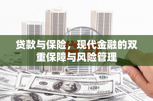 玛纳斯贷款与保险，现代金融的双重保障与风险管理