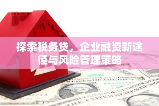 玛纳斯探索税务贷，企业融资新途径与风险管理策略