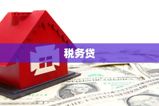 玛纳斯税务贷