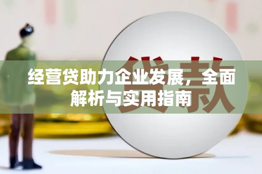 玛纳斯经营贷助力企业发展，全面解析与实用指南