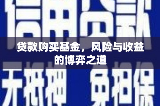 玛纳斯贷款购买基金，风险与收益的博弈之道