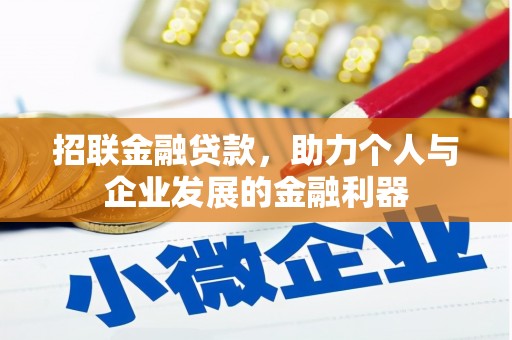 玛纳斯招联金融贷款，助力个人与企业发展的金融利器