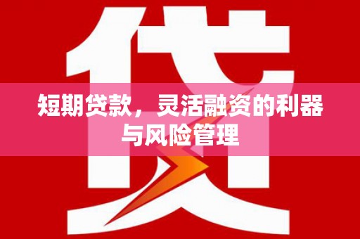 玛纳斯短期贷款，灵活融资的利器与风险管理