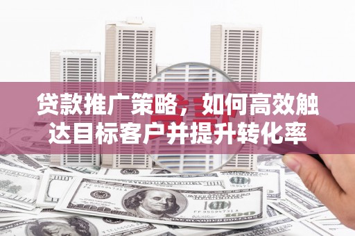 玛纳斯贷款推广策略，如何高效触达目标客户并提升转化率