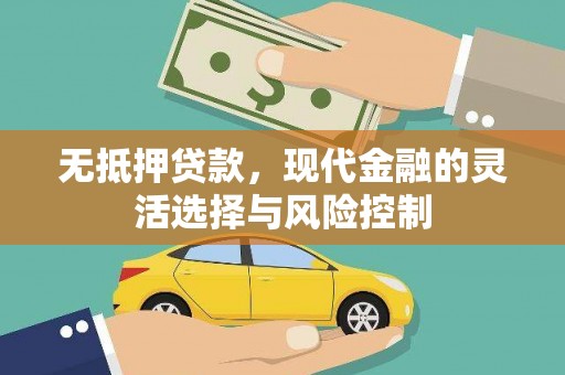 玛纳斯无抵押贷款，现代金融的灵活选择与风险控制