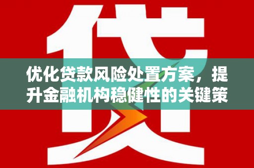 玛纳斯优化贷款风险处置方案，提升金融机构稳健性的关键策略