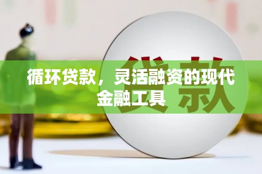 玛纳斯循环贷款，灵活融资的现代金融工具