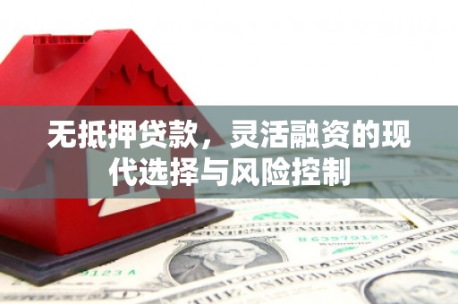 玛纳斯无抵押贷款，灵活融资的现代选择与风险控制