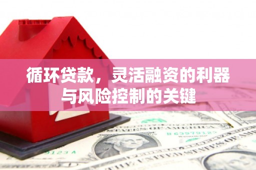 玛纳斯循环贷款，灵活融资的利器与风险控制的关键