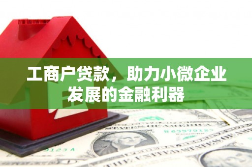 玛纳斯工商户贷款，助力小微企业发展的金融利器