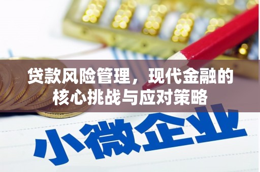 玛纳斯贷款风险管理，现代金融的核心挑战与应对策略
