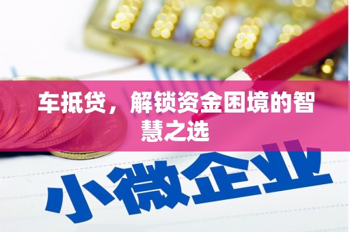 玛纳斯车抵贷，解锁资金困境的智慧之选