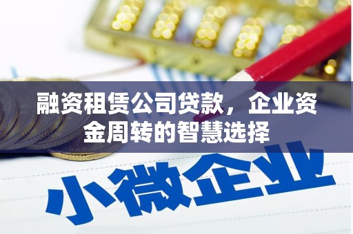 玛纳斯融资租赁公司贷款，企业资金周转的智慧选择