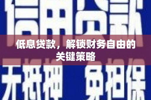 玛纳斯低息贷款，解锁财务自由的关键策略