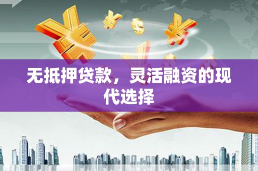 玛纳斯无抵押贷款，灵活融资的现代选择