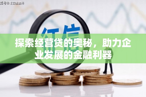 玛纳斯探索经营贷的奥秘，助力企业发展的金融利器