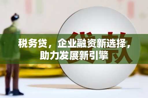 玛纳斯税务贷，企业融资新选择，助力发展新引擎
