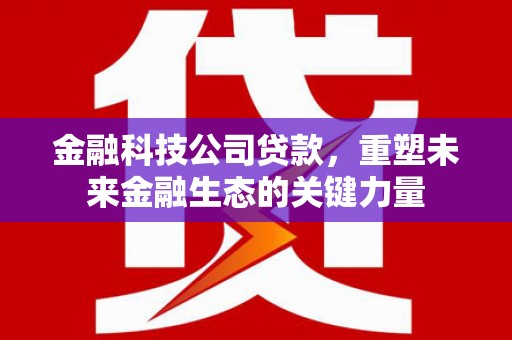 玛纳斯金融科技公司贷款，重塑未来金融生态的关键力量