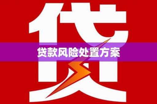 玛纳斯贷款风险处置方案