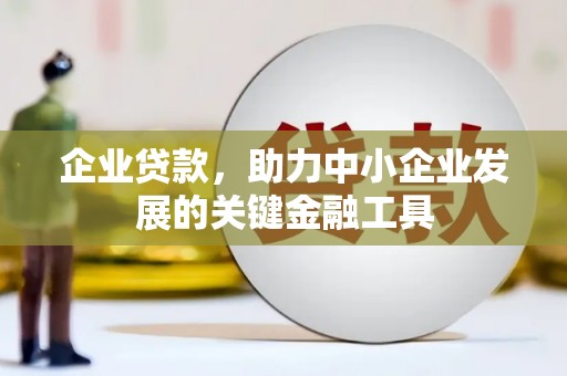 玛纳斯企业贷款，助力中小企业发展的关键金融工具