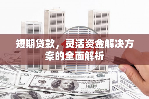 玛纳斯短期贷款，灵活资金解决方案的全面解析