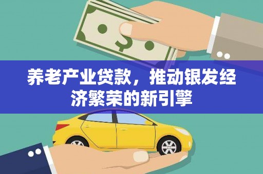 玛纳斯养老产业贷款，推动银发经济繁荣的新引擎